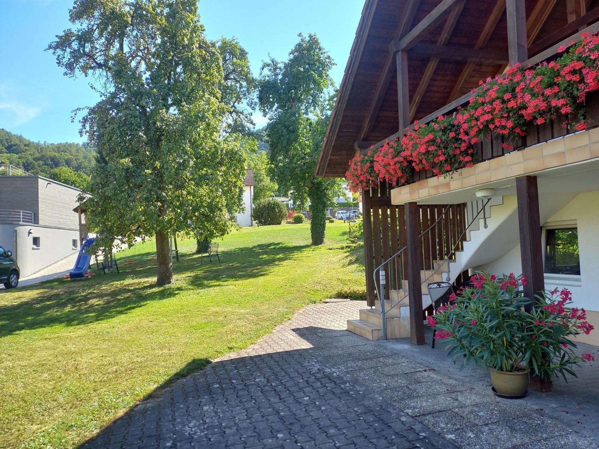 Ferienwohnungen Gabi Hermann Bodman-Ludwigshafen Eksteriør billede